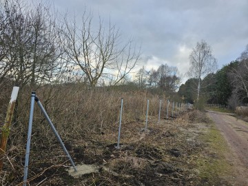 Ogrodzenie tymczasowe, leśne, budowlane