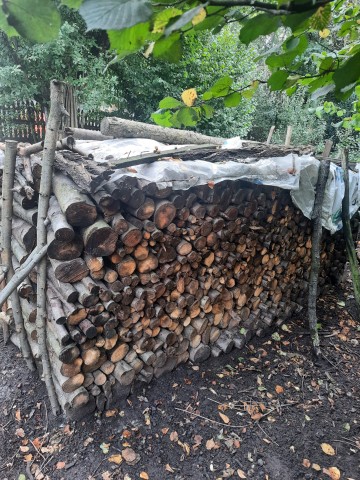 Sprzedam drewno opałowe – olszyna, wierzba