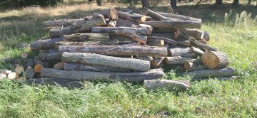 Suche wałki dębowe! Możliwy transport!