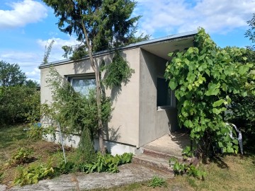 Działka ROD Ogrodowa w Koninie