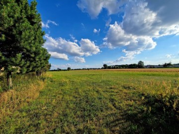 Działki Łuszczewo gm Skulsk, 250 m od jeziora!
