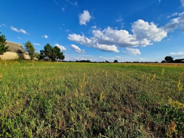 Działki Łuszczewo gm Skulsk, 250 m od jeziora!