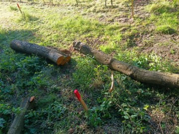 Kompleks Działek Budowlanych z dostępem do Jeziora OSTROWICK