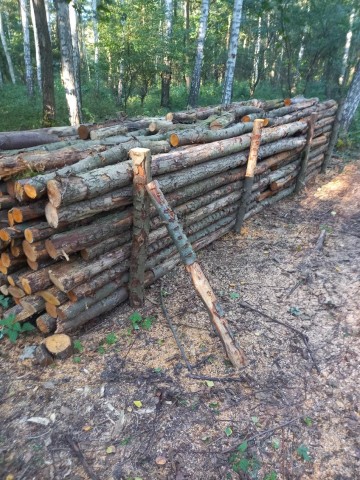 Sucha olcha różnej grubości! Możliwy transport!