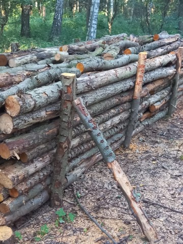 Sucha olcha różnej grubości! Możliwy transport!