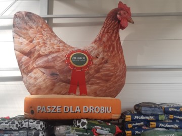 Pasze dla kur niosek