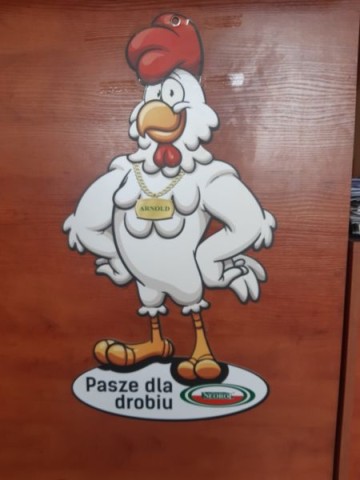 Pasze dla kur niosek