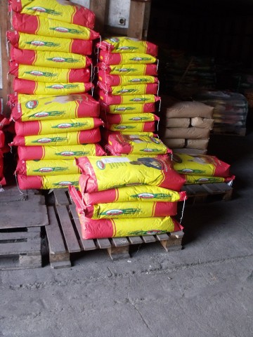 Pasze dla kur niosek