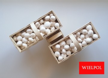 Opakowania do białych pieczarek / białej pieczarki