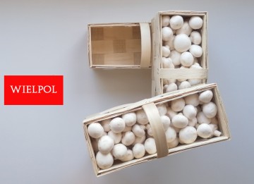 Opakowania do białych pieczarek / białej pieczarki