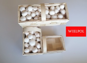 Opakowania do białych pieczarek / białej pieczarki
