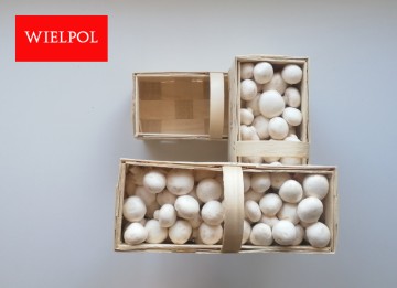 Opakowania do białych pieczarek / białej pieczarki