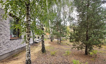 Dom Rosocha 124 m2, gm. Golina, pow. Konin, działka 15 ar!!!