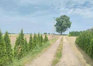 Oferta sprzedaży działek GIEWART&Oacute;W 9,5 ar budowlane