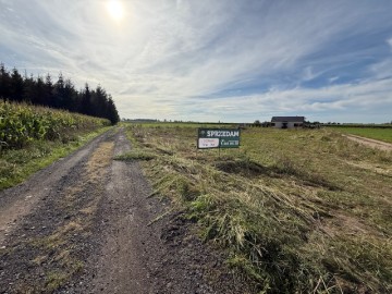 sprzedaż &ndash; działka nr 652/6 Witkowo 8 ar ul Wodociągowa budo