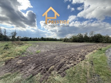 Na sprzedaż działka rolna 2,84ha gm.Wierzbinek