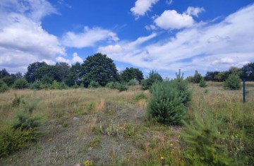 Na sprzedaż działka bezpośrednio nad Jeziorem Suszewskim