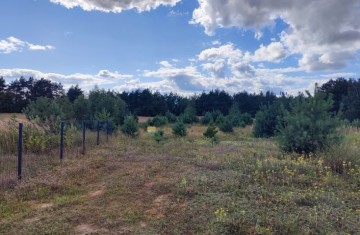 Na sprzedaż działka bezpośrednio nad Jeziorem Suszewskim