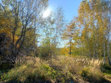 Działka budowlana na sprzedaż Kałek gm Krzym&oacute;w