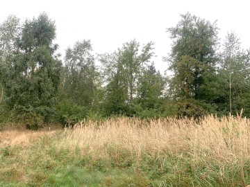 Działka budowlana na sprzedaż Kałek