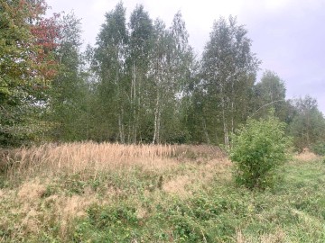 Działka budowlana na sprzedaż Kałek