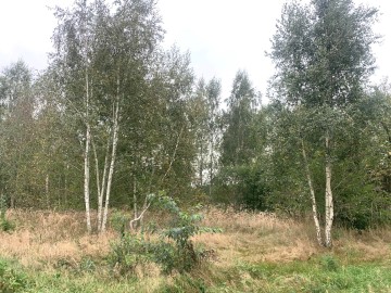 Działka budowlana na sprzedaż Kałek gm Krzym&oacute;w