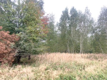 Działka budowlana na sprzedaż Kałek gm Krzym&oacute;w