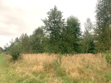 Działka budowlana na sprzedaż Kałek gm Krzym&oacute;w