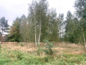 Działka budowlana na sprzedaż Kałek gm Krzym&oacute;w