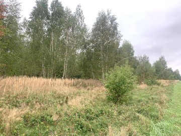 Działka budowlana na sprzedaż Kałek gm Krzym&oacute;w