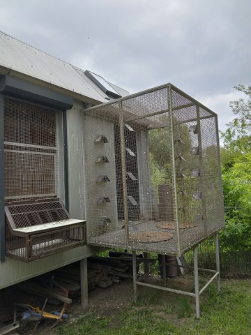 GOŁĘBNIK 10x3,3x3,5 + Woliera &ndash; Ocieplany, Świetliki, Elektr