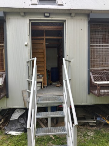 GOŁĘBNIK 10x3,3x3,5 + Woliera &ndash; Ocieplany, Świetliki, Elektr