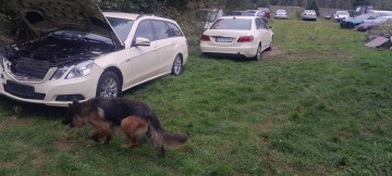 Mercedes 212 .jezdzi