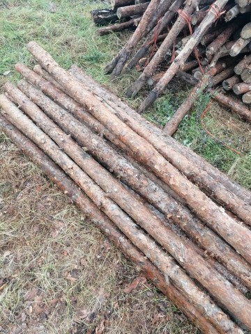 Stemple budowlane sosnowe nowe! Możliwy transport