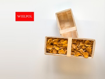 Opakowania do grzyb&oacute;w kurek / pieprznik jadalny / kurki