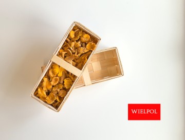 Opakowania do grzyb&oacute;w kurek / pieprznik jadalny / kurki