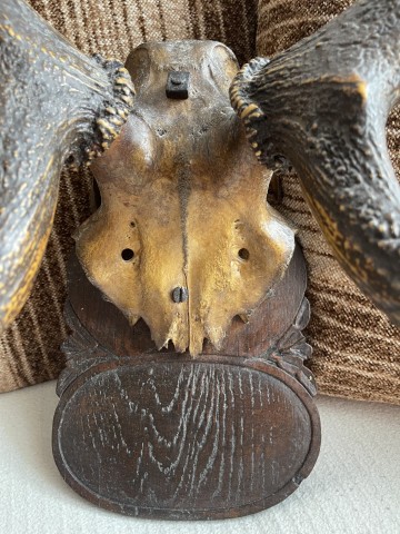 Poroże, rogi jelenia, ozdoba na ścianę