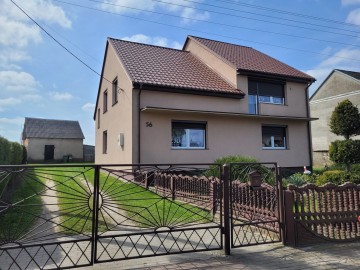 Dęby Szlacheckie gm. Osiek Mały