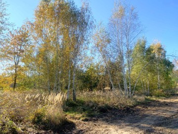 Działka budowlana na sprzedaż Kałek. gm. Krzym&oacute;w