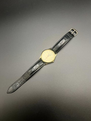 Zegarek kwarcowy PERFECT C418B-12