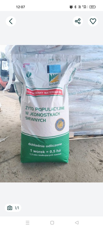 Żyto Dankowskie Kalcyt C1