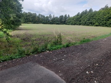 Działki budowlane w Drzewcach 57 ar przy lesie | 46zł/m2