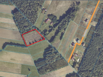 Działki budowlane w Drzewcach 57 ar przy lesie | 46zł/m2