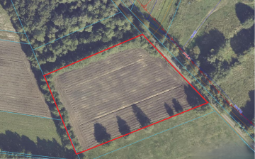 Działki budowlane w Drzewcach 57 ar przy lesie | 46zł/m2