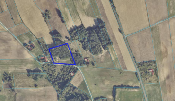 Na sprzedaż działka budowlana z lasem| Racięcice gm Sompolno