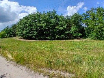 Na sprzedaż działka budowlana z lasem| Racięcice gm Sompolno