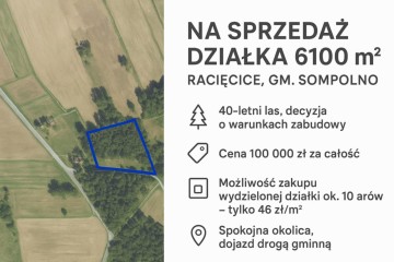 SPRZEDAM działkę budowlana z lasem, Racięcice, gm. Sompolno