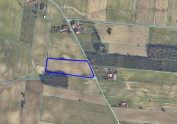 4 działki budowlane z WZ &ndash; Koszary, gm. Sompolno