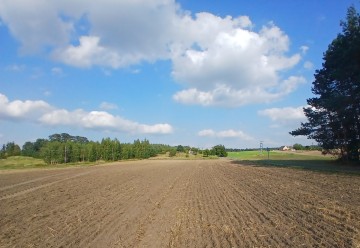 4 działki budowlane z WZ &ndash; Koszary, gm. Sompolno