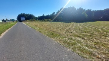 Działka Ślesin, Szyszyńskie Holendry